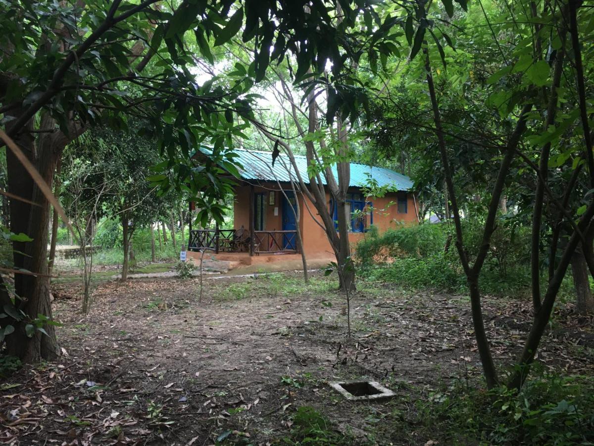 מלון רמנגר Camp Hornbill Corbett מראה חיצוני תמונה